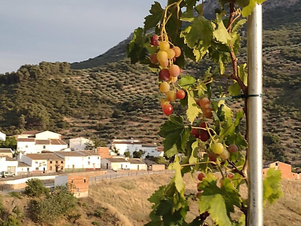 فيلا Casa Holmes Las Casillas  المظهر الخارجي الصورة